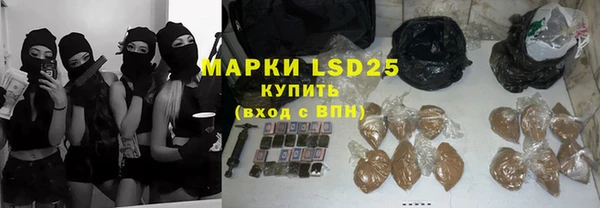 сатива Нефтекумск