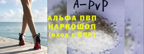 сатива Нефтекумск