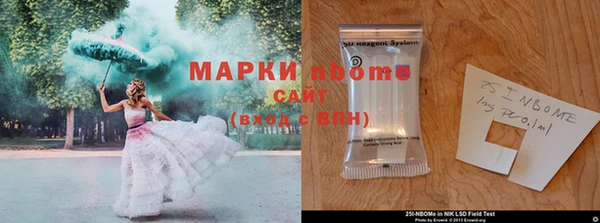 сатива Нефтекумск