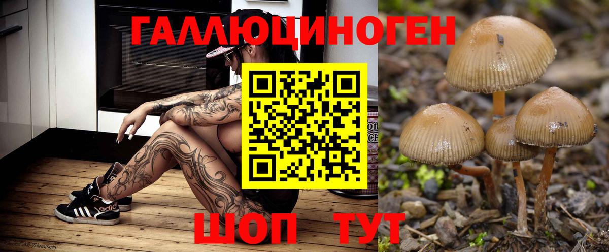 Псилоцибиновые грибы мухоморы Ярцево
